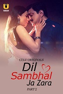 Dil Sambhal Ja Zara Part 2 (2024)