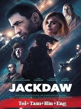 Jackdaw (2024)