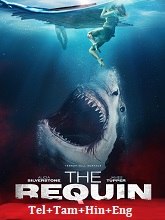 Watch The Requin (2022) Online Full Movie Free