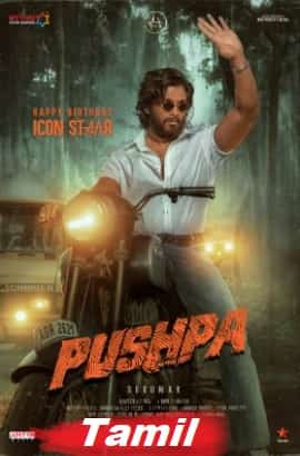 Pushpa: The Rise Part 1 (2021)